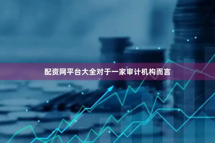 配资网平台大全对于一家审计机构而言