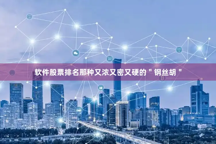 软件股票排名那种又浓又密又硬的＂钢丝胡＂