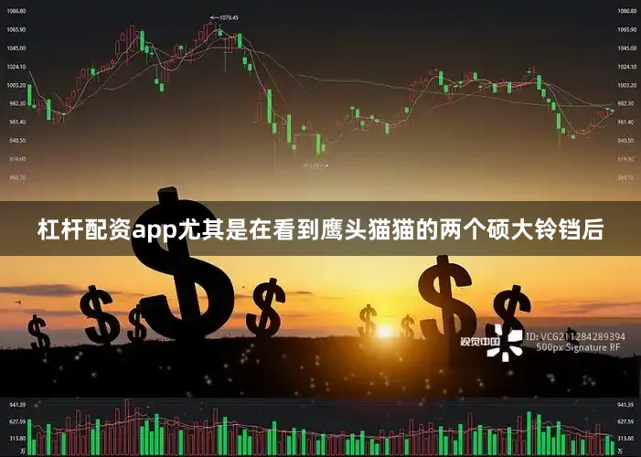 杠杆配资app尤其是在看到鹰头猫猫的两个硕大铃铛后